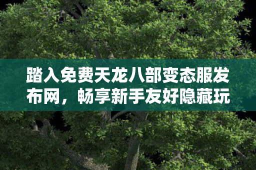 畅享新手友好隐藏玩法的江湖盛宴图片