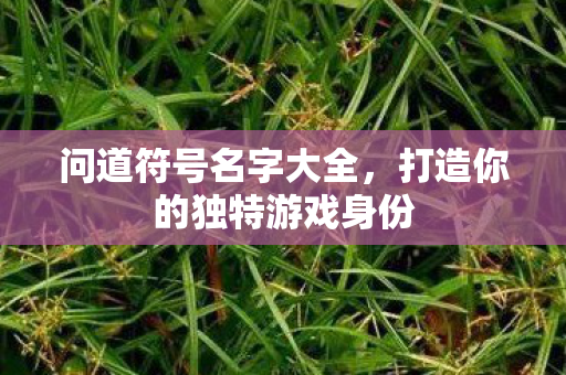 打造你的独特游戏身份图片