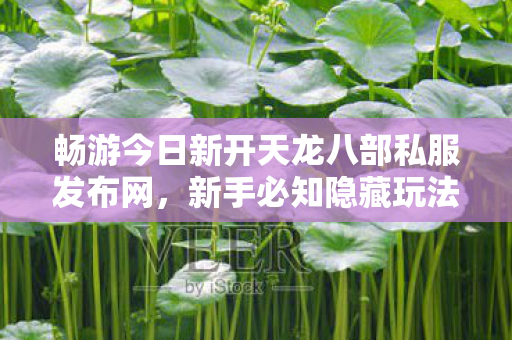 畅游今日新开天龙八部私服发布网图片