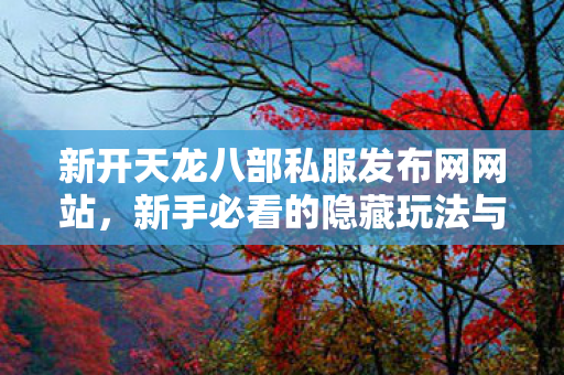 新手必看的隐藏玩法与友好指南天龙八部私服图片
