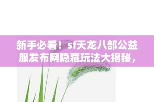 sf天龙八部公益服发布网隐藏玩法大揭秘图片