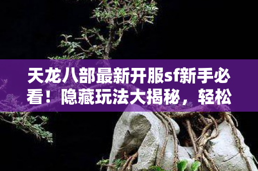 天龙八部最新开服sf新手必看图片