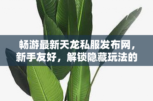 解锁隐藏玩法的梦幻武侠之旅天龙八部私服图片