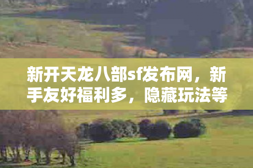 新开天龙八部sf发布网图片