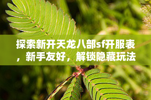 解锁隐藏玩法的神秘武侠世界天龙八部私服图片