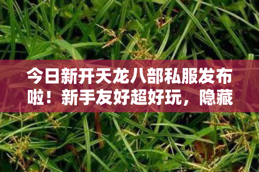 今日新开天龙八部私服发布啦图片