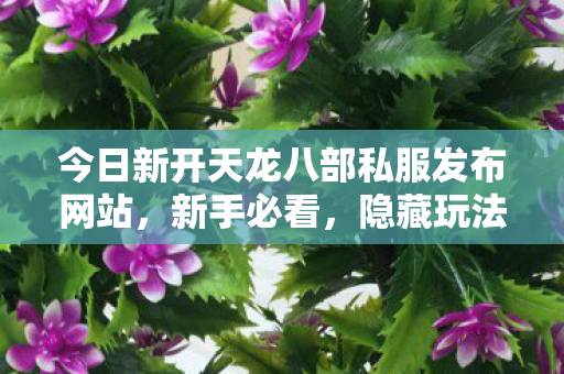 今日新开天龙八部私服发布网站图片