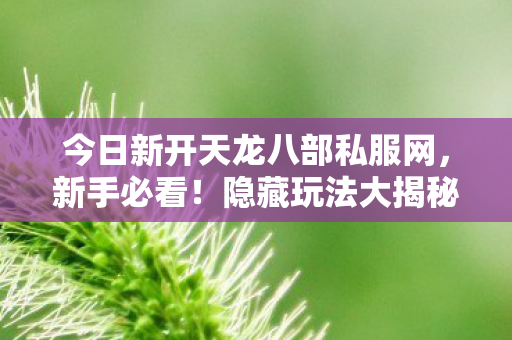 今日新开天龙八部私服网图片