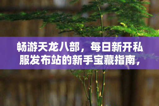 每日新开私服发布站的新手宝藏指南图片