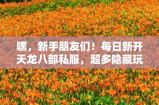 每日新开天龙八部私服图片