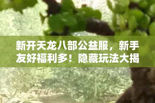 新开天龙八部公益服图片