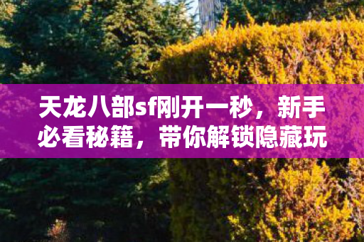 天龙八部sf刚开一秒图片