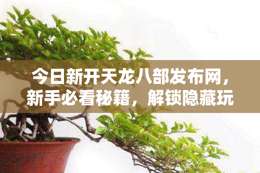 解锁隐藏玩法大揭秘天龙八部私服图片