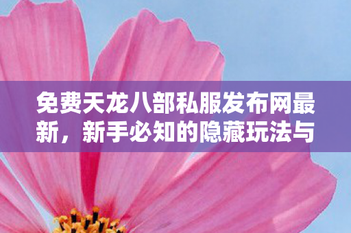 新手必知的隐藏玩法与超值体验天龙私服图片