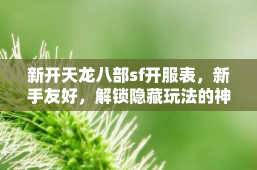 解锁隐藏玩法的神秘游戏世界天龙私服图片