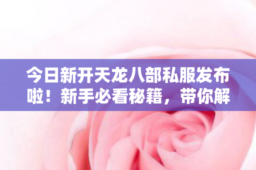 今日新开天龙八部私服发布啦图片