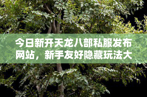 今日新开天龙八部私服发布网站图片