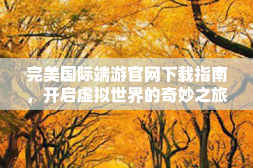 完美国际端游官网下载指南图片