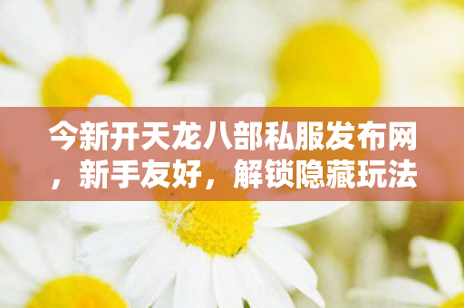 解锁隐藏玩法的宝藏之地天龙八部私服图片
