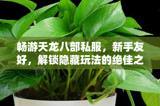 解锁隐藏玩法的绝佳之选天龙八部私服图片