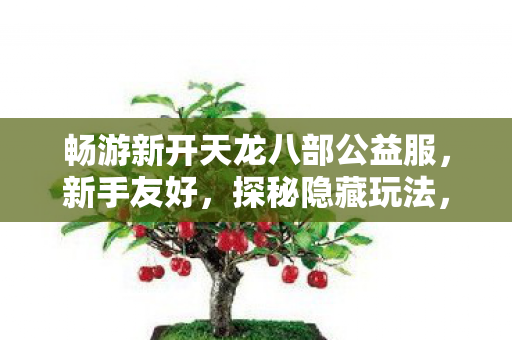 畅游新开天龙八部公益服图片