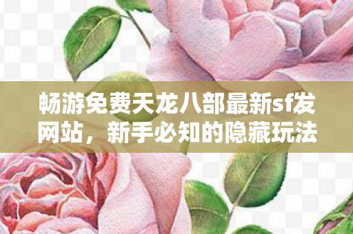 新手必知的隐藏玩法与超值体验天龙私服图片