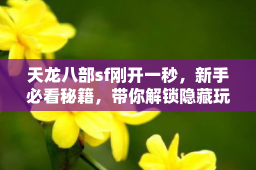 天龙八部sf刚开一秒图片