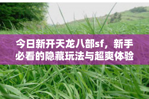 新手必看的隐藏玩法与超爽体验图片