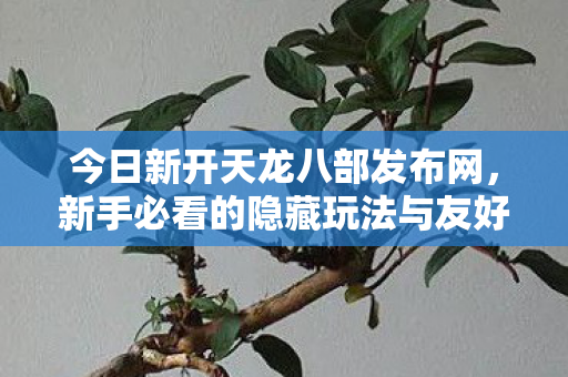 新手必看的隐藏玩法与友好攻略天龙私服图片