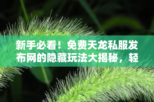 免费天龙私服发布网的隐藏玩法大揭秘图片