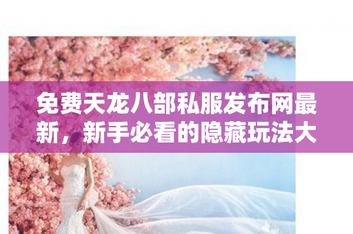 新手必看的隐藏玩法大揭秘天龙八部私服图片