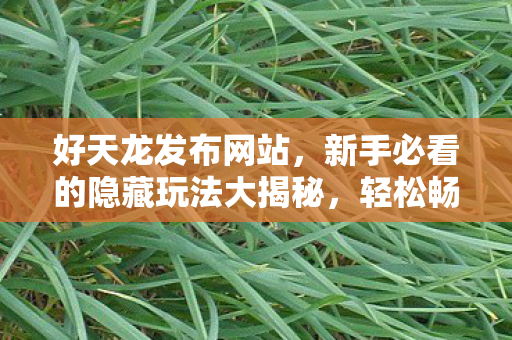 新手必看的隐藏玩法大揭秘图片