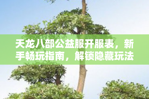 天龙八部公益服开服表图片