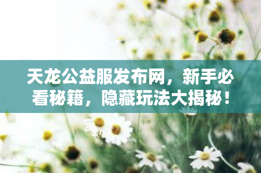 天龙公益服发布网图片