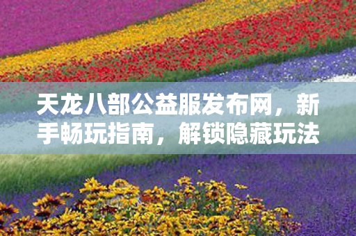 天龙八部公益服发布网图片