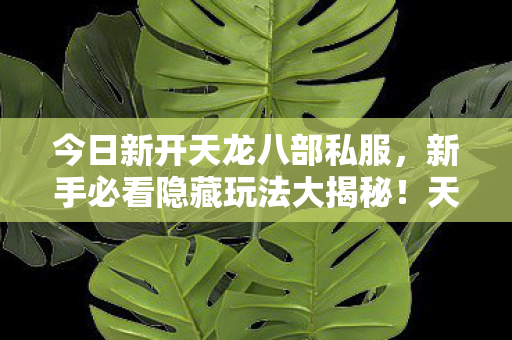 新手必看隐藏玩法大揭秘图片