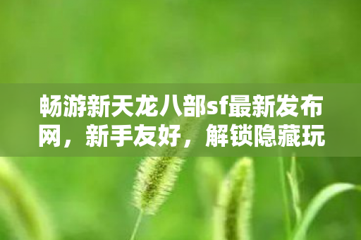 畅游新天龙八部sf最新发布网图片