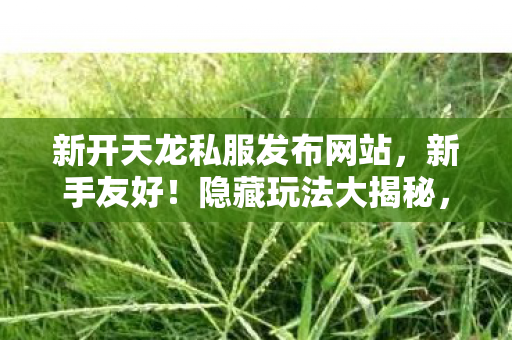 新开天龙私服发布网站图片