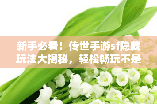 新手必看!传世手游sf隐藏玩法大揭秘,轻松畅玩不是梦天龙私服 新手必看!传世手游sf隐藏玩法大揭秘,轻松畅玩不是梦天龙私服