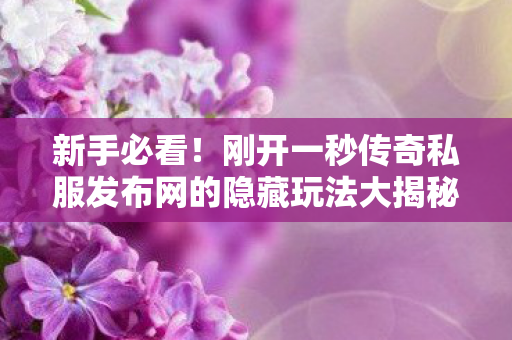 新手必看！刚开一秒传奇私服发布网的隐藏玩法大揭秘，轻松畅玩不是梦！天龙八部私服