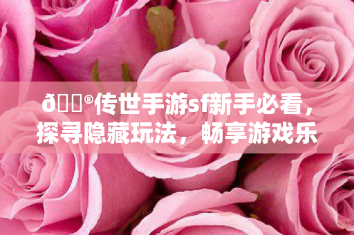 传世手游sf新手必看图片