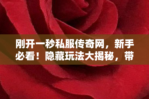 带你畅享热血传奇世界图片