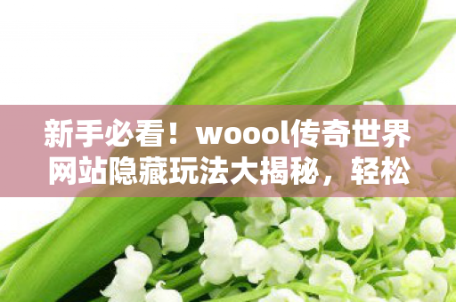 woool传奇世界网站隐藏玩法大揭秘图片