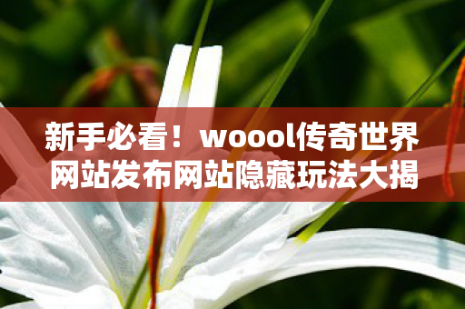 woool传奇世界网站发布网站隐藏玩法大揭秘天龙八部私服图片