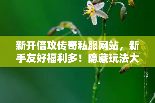 隐藏玩法大揭秘天龙八部私服图片