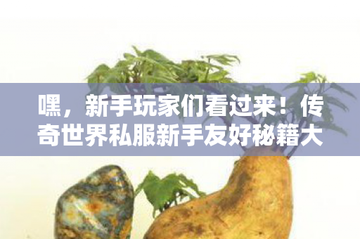 传奇世界私服新手友好秘籍大公开图片