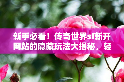 传奇世界sf新开网站的隐藏玩法大揭秘图片
