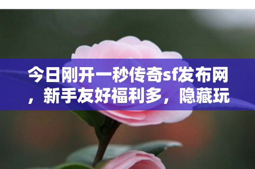 今日刚开一秒传奇sf发布网图片