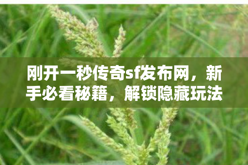 刚开一秒传奇sf发布网图片