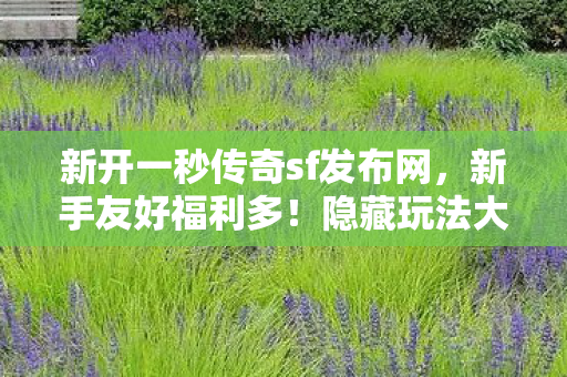 新开一秒传奇sf发布网图片